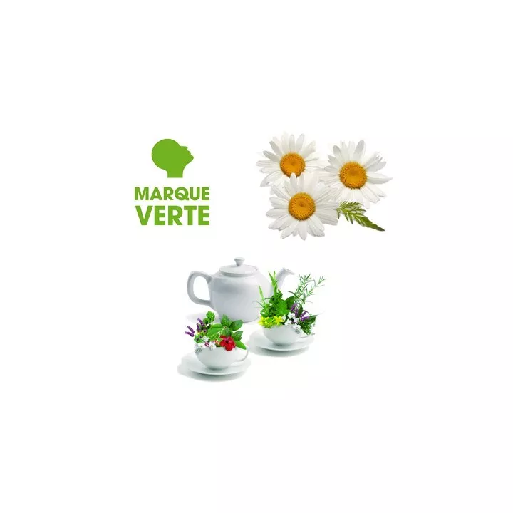 Infusion Camomille Marque Verte 25 sachets