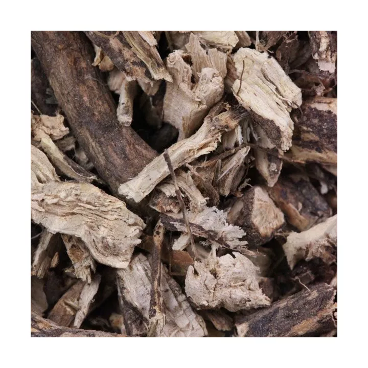 Bugrane Stop-beef cut root Iphym Herboristerie Ononis spinosa L.