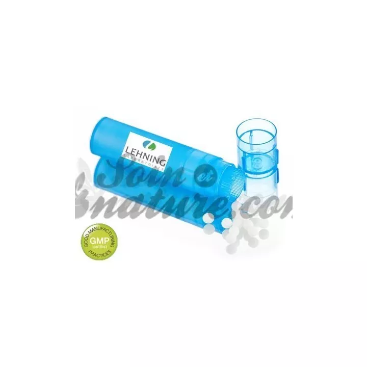 Rocal AGARICUS MUSCARIUS 30K 200K MK 10MK doses or pellets homeopathic dilution Korsakov
