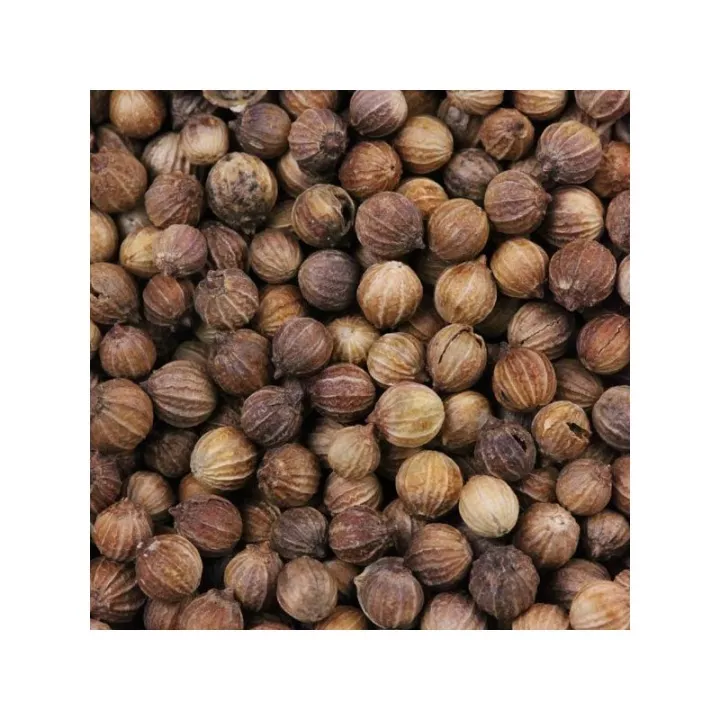 CORIANDOLO Coriandrum sativum FRUTTA IPHYM Herbalism