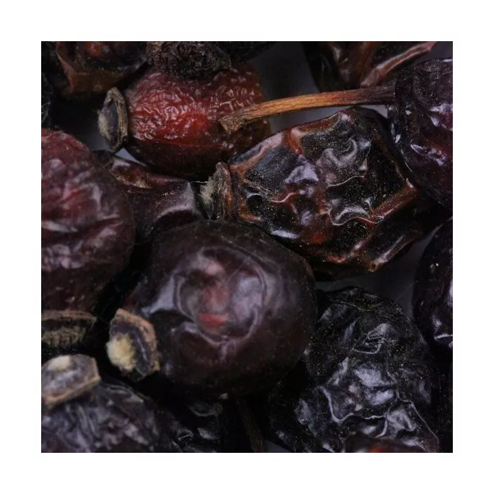Hagebutte (Hagebutte) Beere Iphym Kräutermedizin Rosa canina