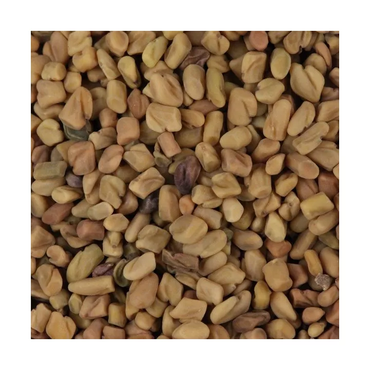 FENUGREEK SEED IPHYM Herbalism Trigonella foenum-graecum L.