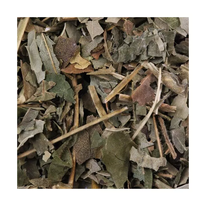 Foglie di frassino Tigette tagliate Iphym Herbal Fraxinus excelsior L.