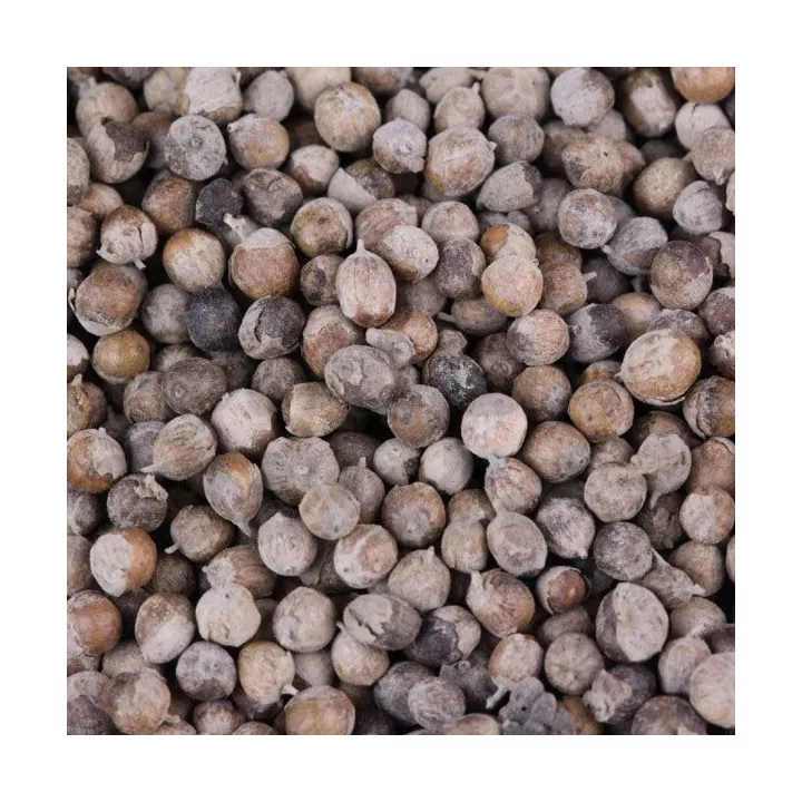 Chaste FRUIT (agnus castus) IPHYM Herbalism Vitex agnus castus L.