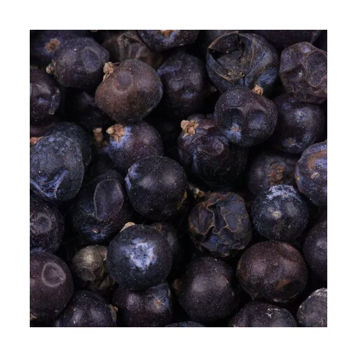Bacche di ginepro Frutto Iphym Herboristerie Juniperus communis