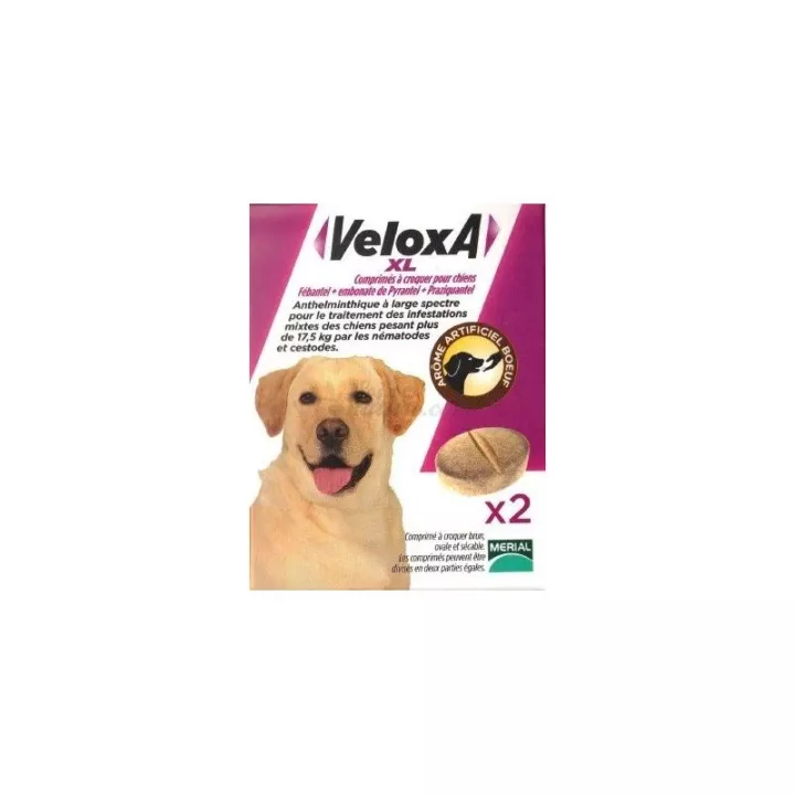 VELOXA XL wormafdrijvend DOG 2 CPR KAUWTABLETTEN Merial