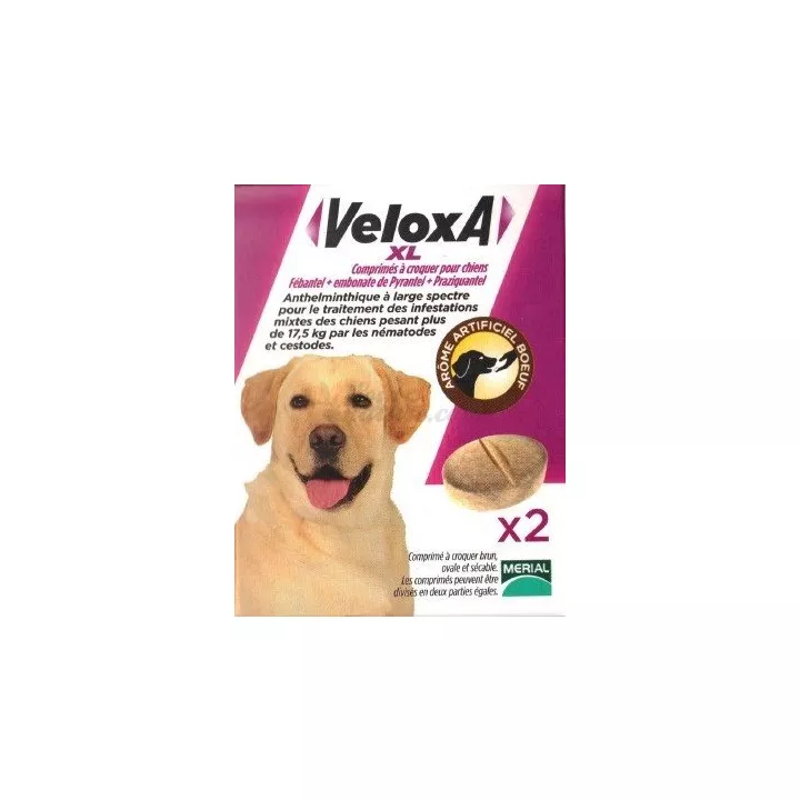 VELOXA XL wormafdrijvend DOG 2 CPR KAUWTABLETTEN Merial