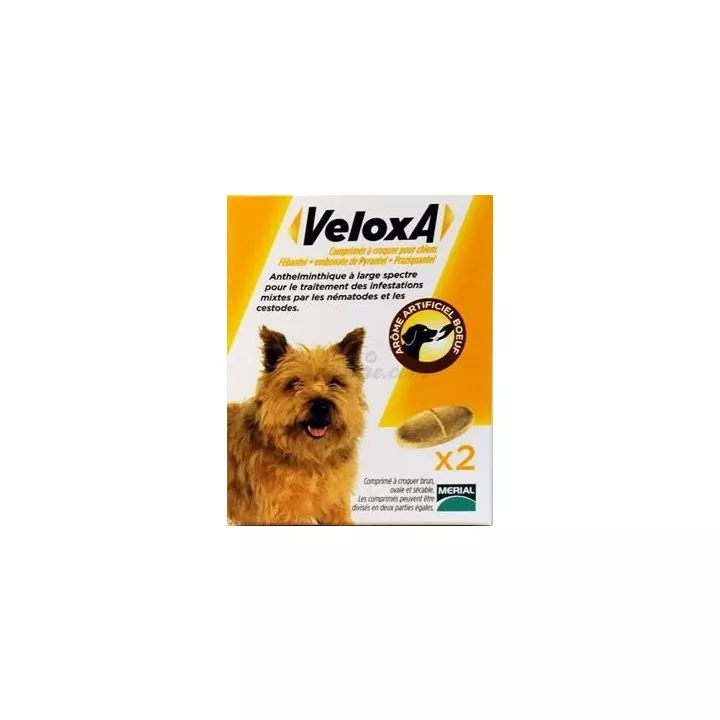 VELOXA cão wormer 2 ou 4 comprimidos mastigáveis