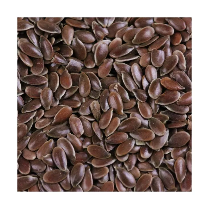 FLAXSEED sorted IPHYM Herb Linum usitatissimum