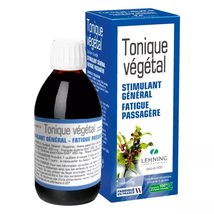 Lehning Tonique Végétal Stimulant Général 250 ml