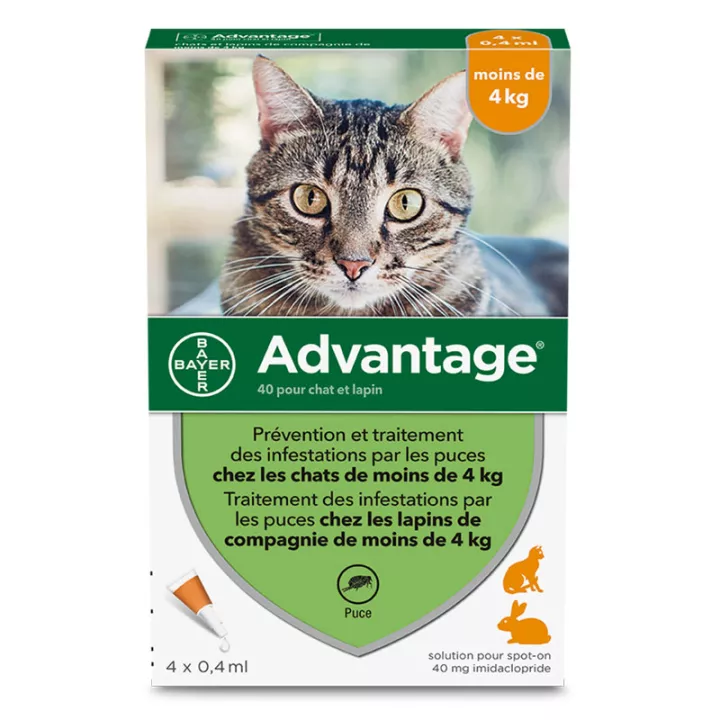Advantage 40 pipetas anti-pulgas para gatos e coelhos