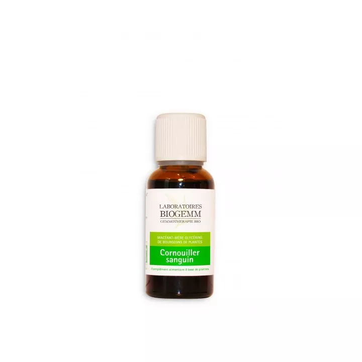 Blut-Hartriegel Knospe Bio Biogemm Heilerde-Mazerat 30 ml