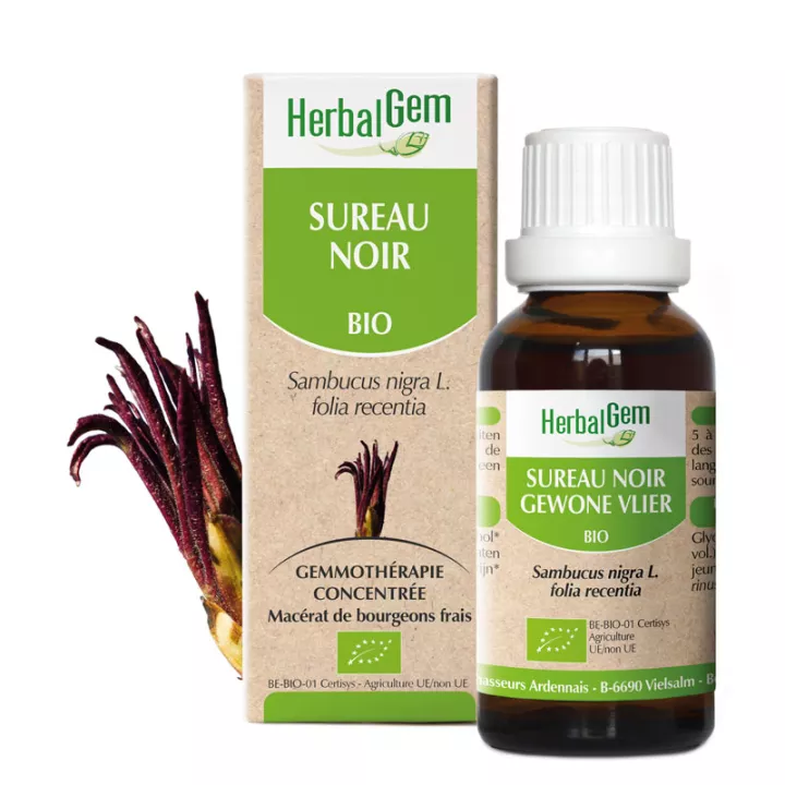 ELDERBERRY germoglio macerato glicerico BIO 30ml HERBALGEM