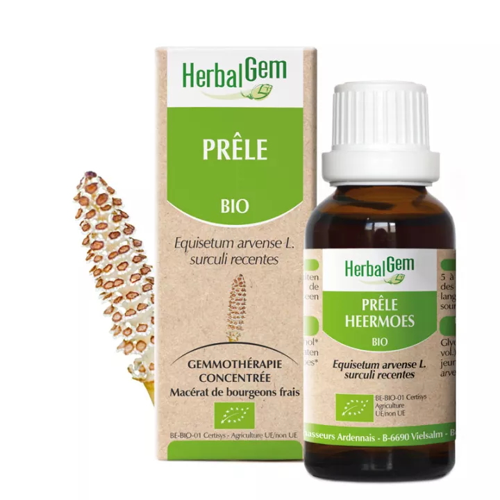 Herbalgem Macerat Mère Prêle Bio 30 ml