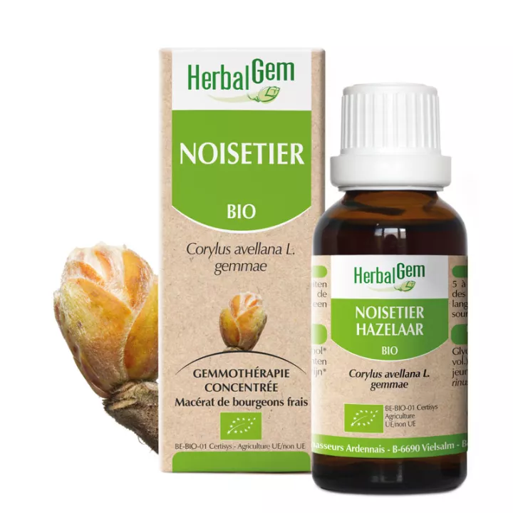 NOISETIER bud glycerine macerate BIO 30ml HERBALGEM