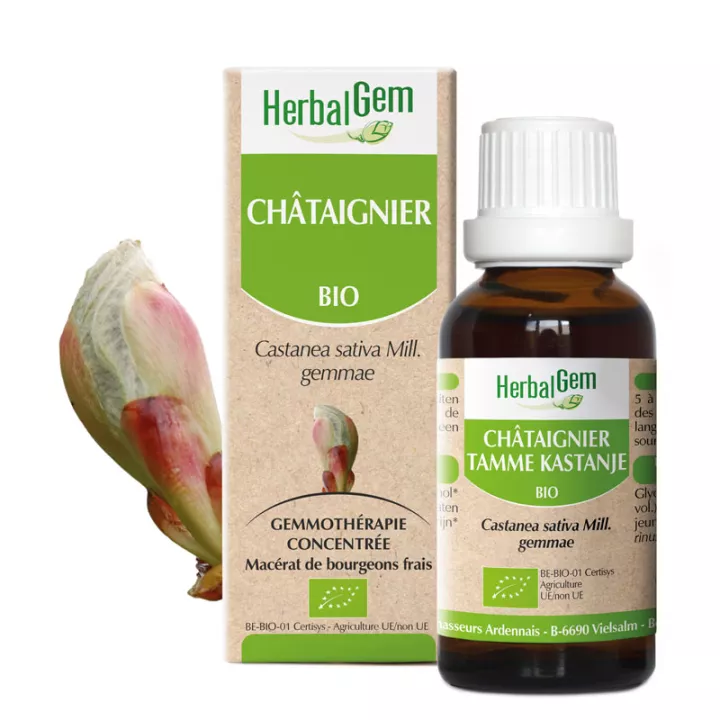 Herbalgem Muttermazerat Kastanie Bio 30 ml