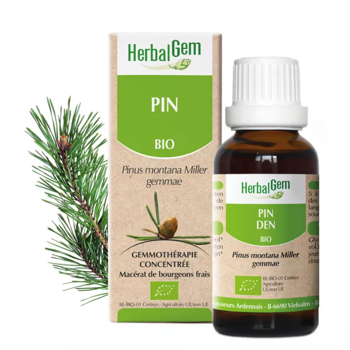 Resultado del brote de glicerina macerado 30ml BIO HERBALGEM