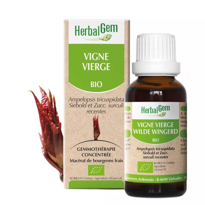 VINE VIRGIN Knospe Glyzerin Mazerat BIO 30ml HERBALGEM