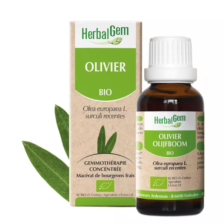 OLIVIER sapling glycerine macerate BIO 30ml HERBALGEM