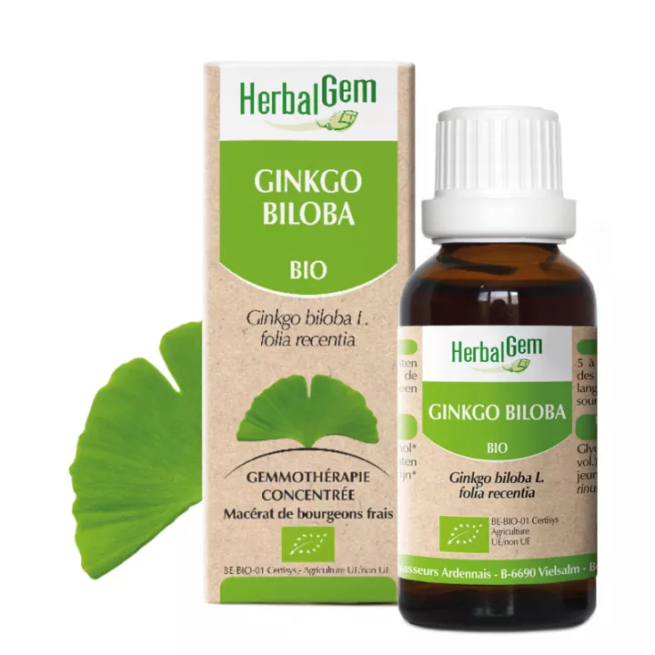 GINKGO Bäumchen Glyzerin Mazerat BIO 30ml HERBALGEM