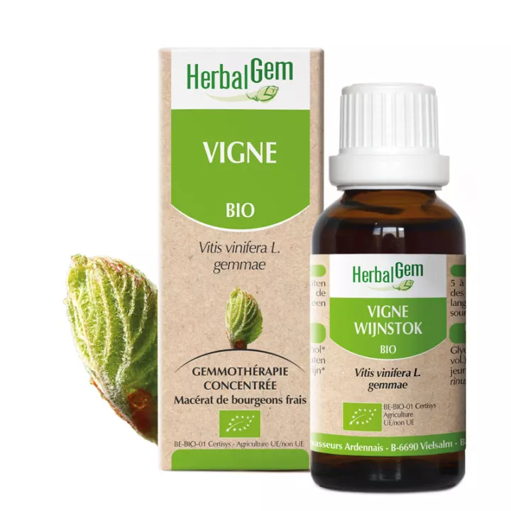 VINE Bäumchen Glyzerin Mazerat BIO 30ml HERBALGEM