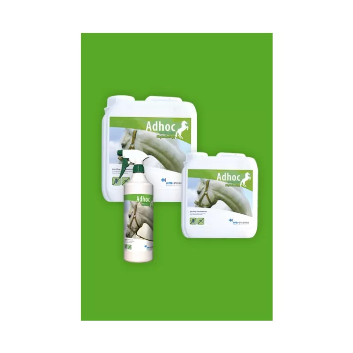 ADHOC SPRAY INSECTICIDE 1L LONG TERM