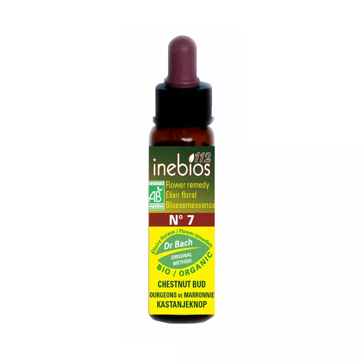 Fiori di Bach Bud di Castagno 10ml Inebios Bud di Castagno dall'India N°7