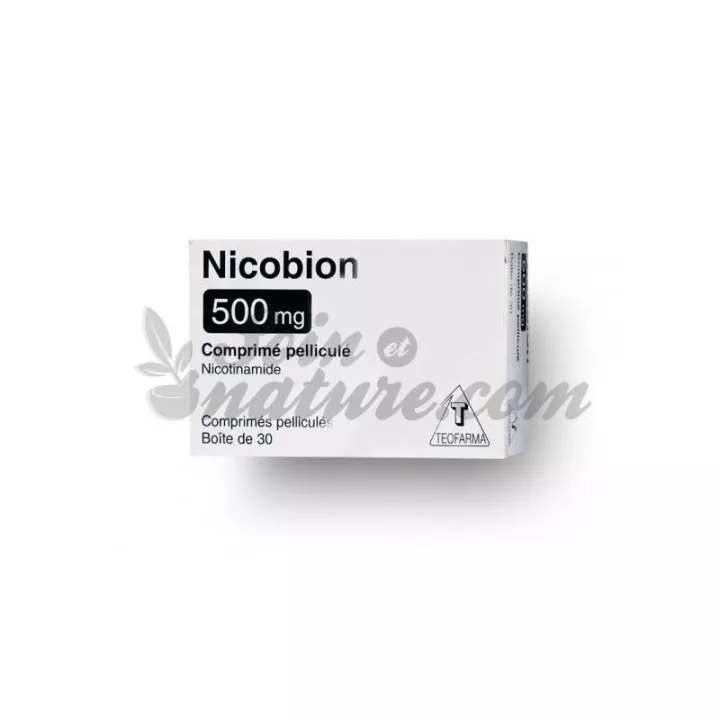 NICOBION vitamine PP nicotinamide 500MG 30 comprimés