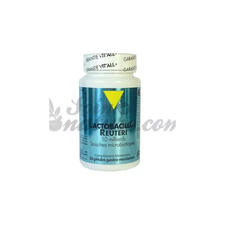 Vitall + Lactobacillus reuteri fabriek 30 Capsules