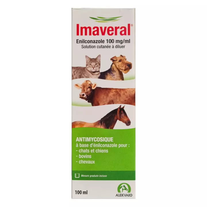 Imaveral Enilconazol 100 mg / ml Solução Antimicótica para a Pele