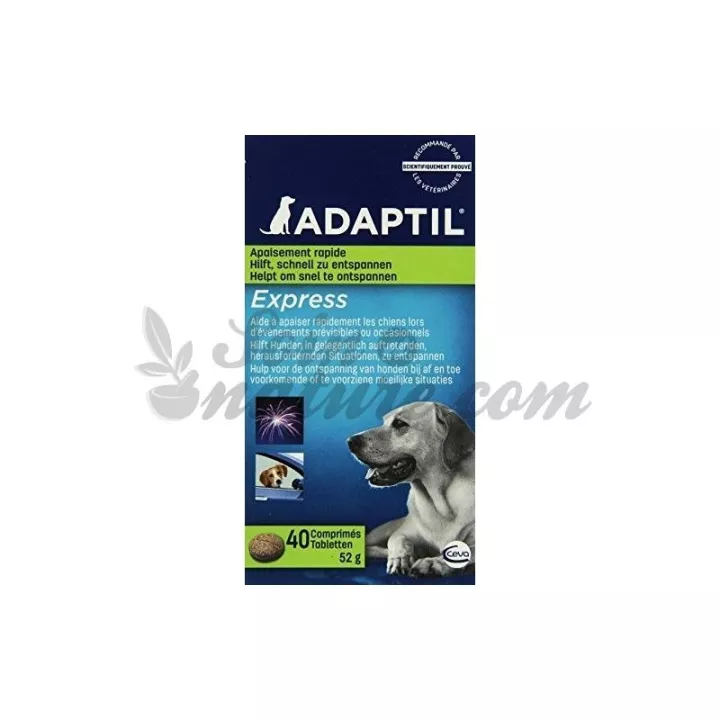 estrés Adaptil EXPRESS tabletas perro Ceva