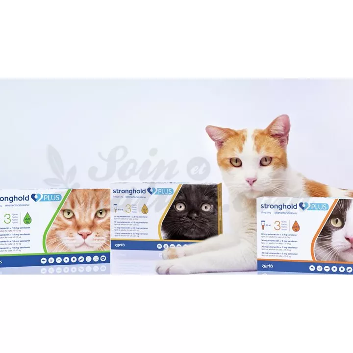 STRONGHOLD PLUS Chat Tiques & Puces 3 pipettes