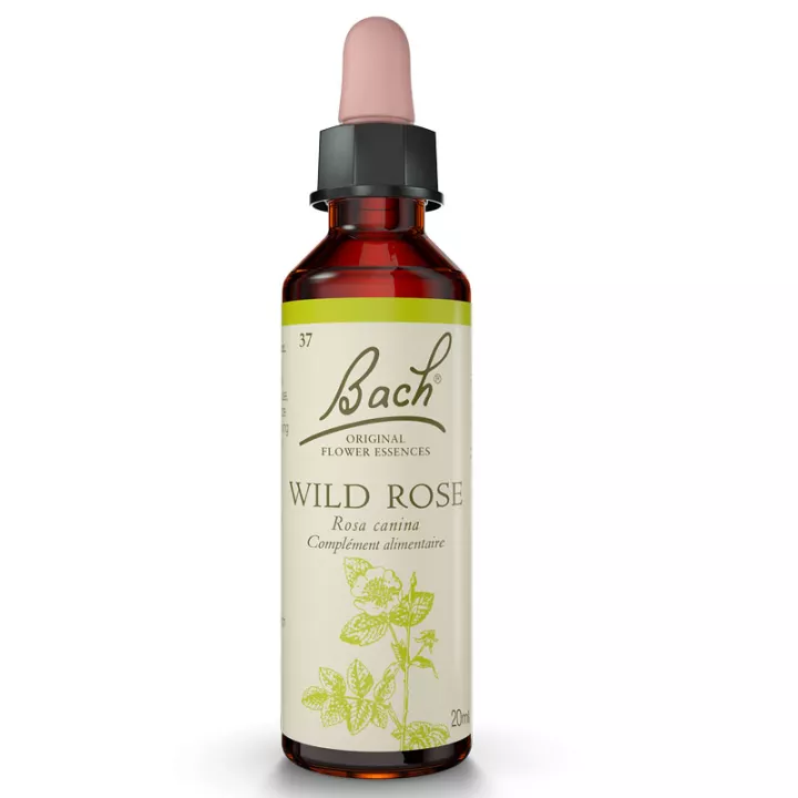 Fiori di Bach Original 20ml rosa canina ROSA SELVATICA