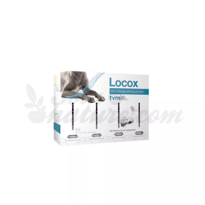 LOCOX joint tablets Dog Chat TVM