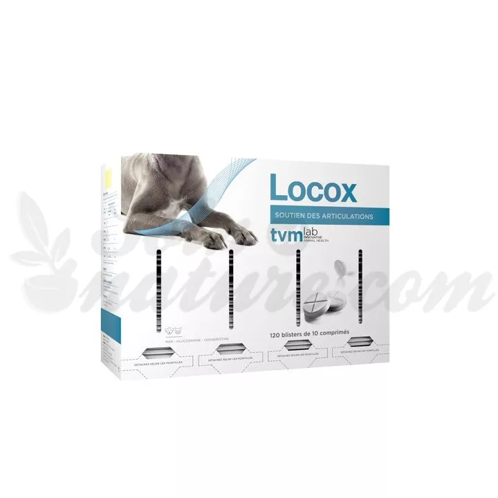 LOCOX comprimés articulations Chien Chat TVM