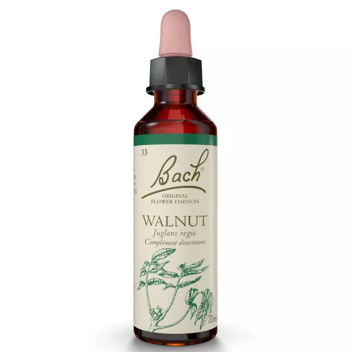 Florais de Bach Walnut 20ml Original NOGUEIRA