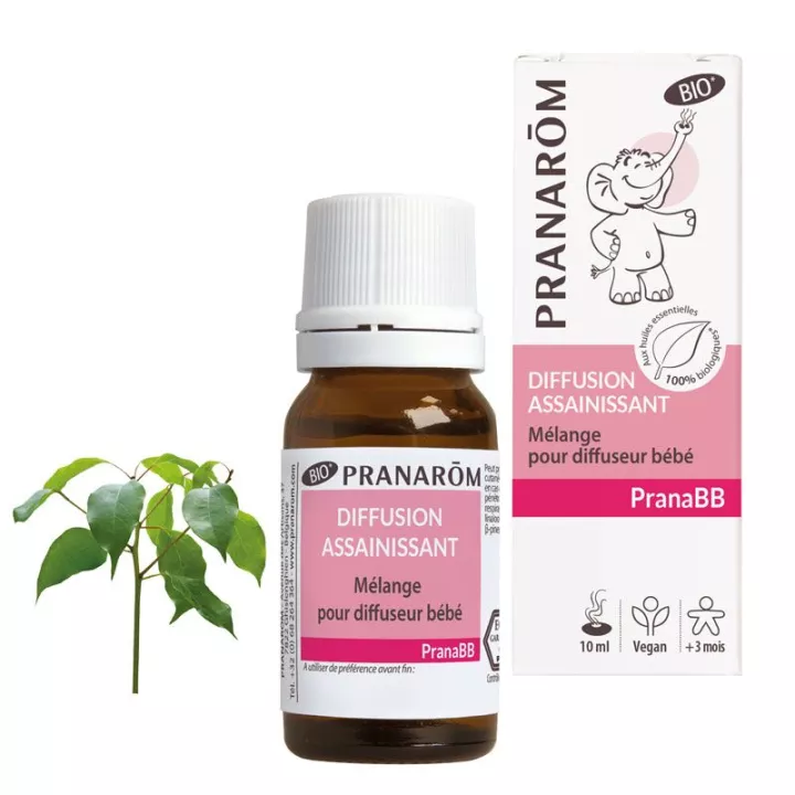 Buy PRANABB PRANAROM BIO Diffuser Blend 10 ml