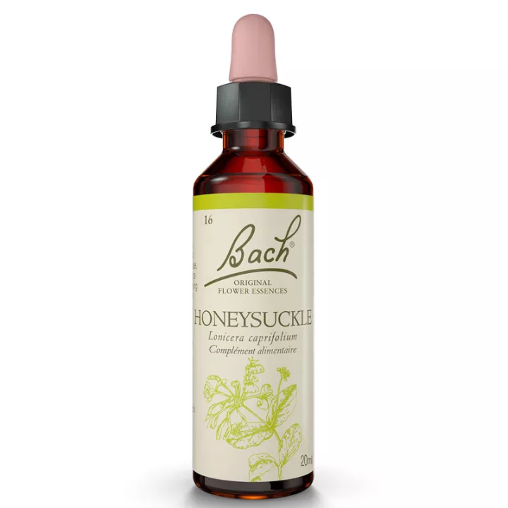 Bach Original Flower Kamperfoelie KAMPERFOELIE 20ml