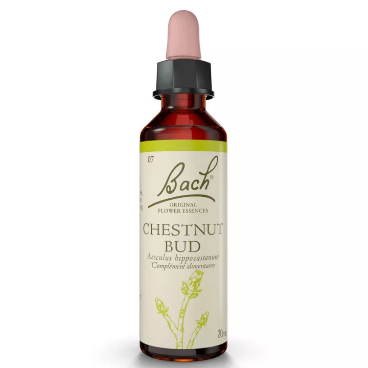 Bach Flower Chestnut Bud 20ml Original Chestnut Bud Índia