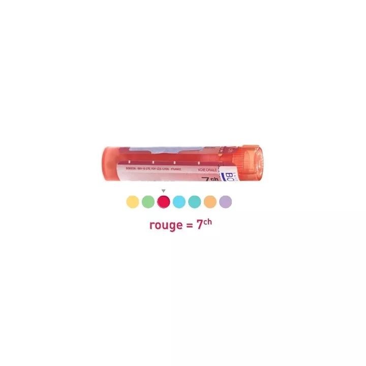 MUQUEUSE GINGIVALE pellets Boiron homeopathy