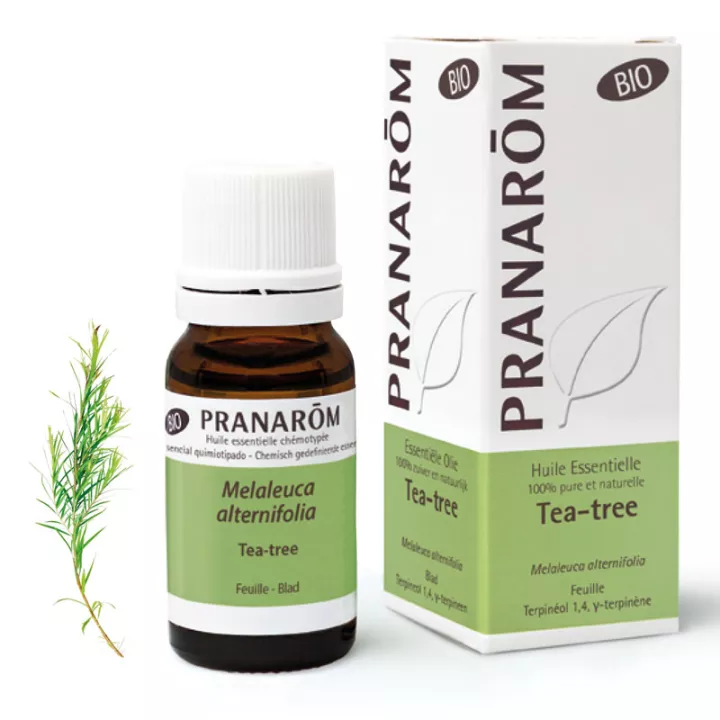 Organic essential oil Tea tree Melaleuca alternifolia PRANAROM