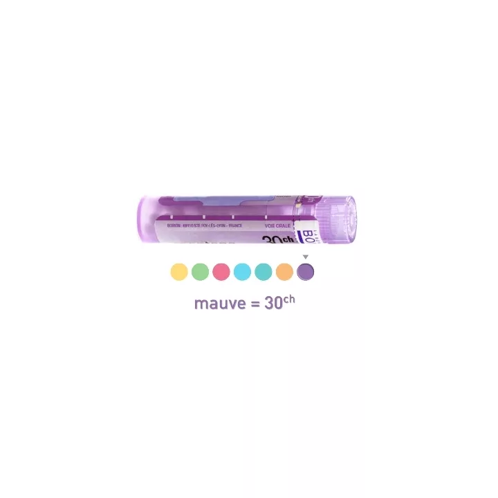 3CH POLEN 4CH 5CH 12CH 15CH 30CH 7CH 9CH gránulos Tube homéopathie Boiron