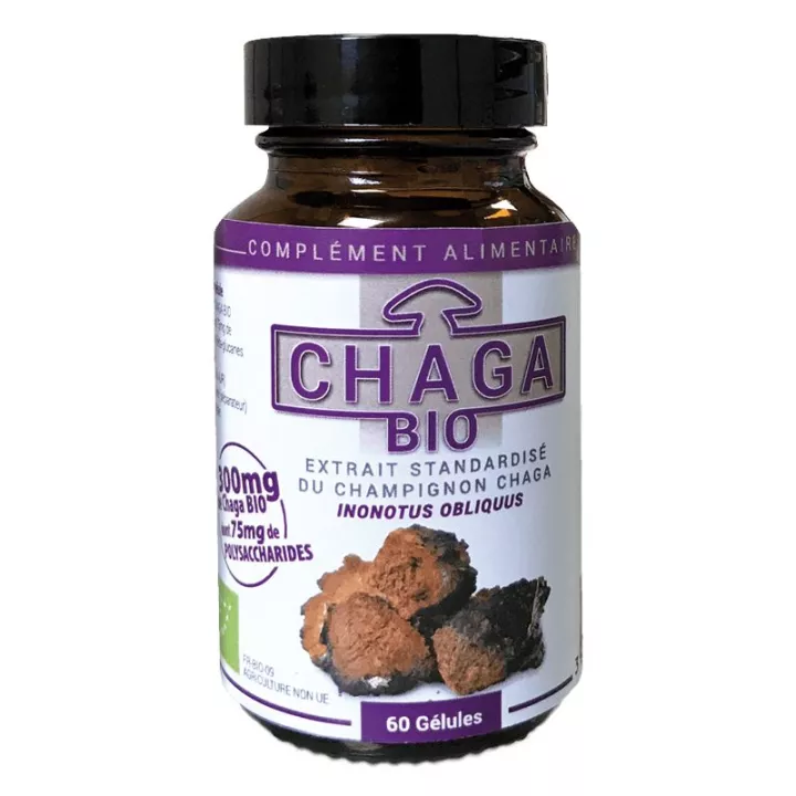 Dr. Theiss Chaga Bio 60 cápsulas