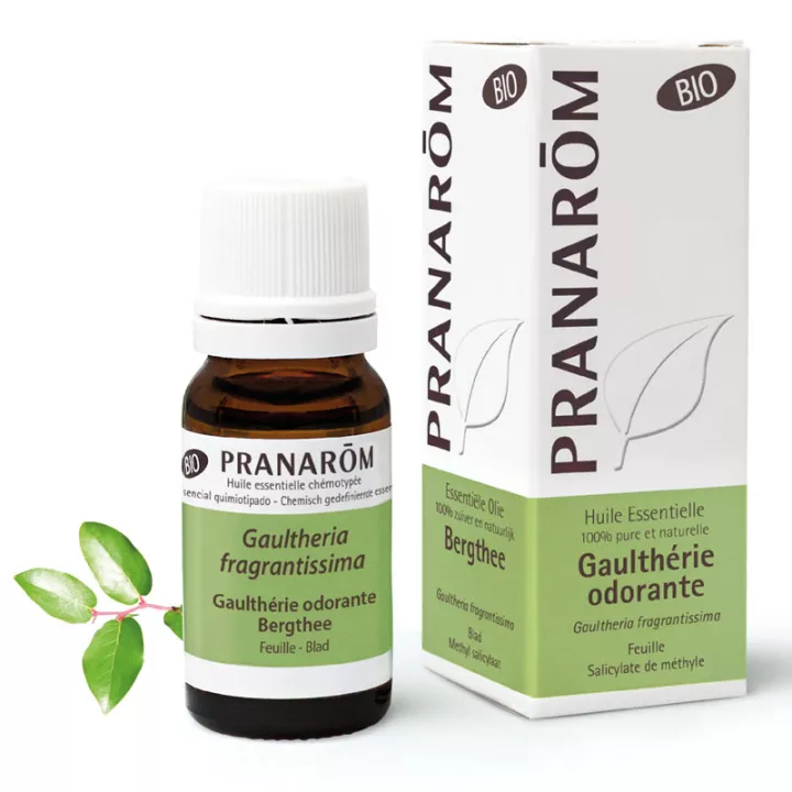Wintergreen essential oil BIO wintergreen odor PRANAROM fragrantissima