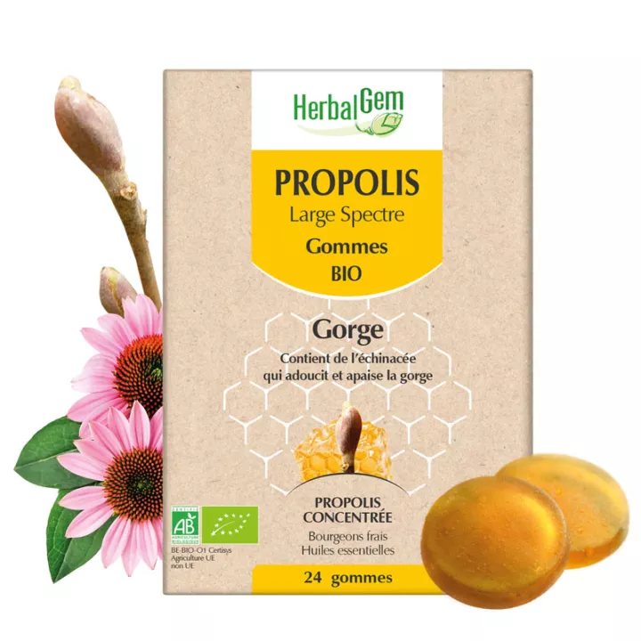 Gomas de borrar HERBALGEM Propolis Large Spectrum BIO 24