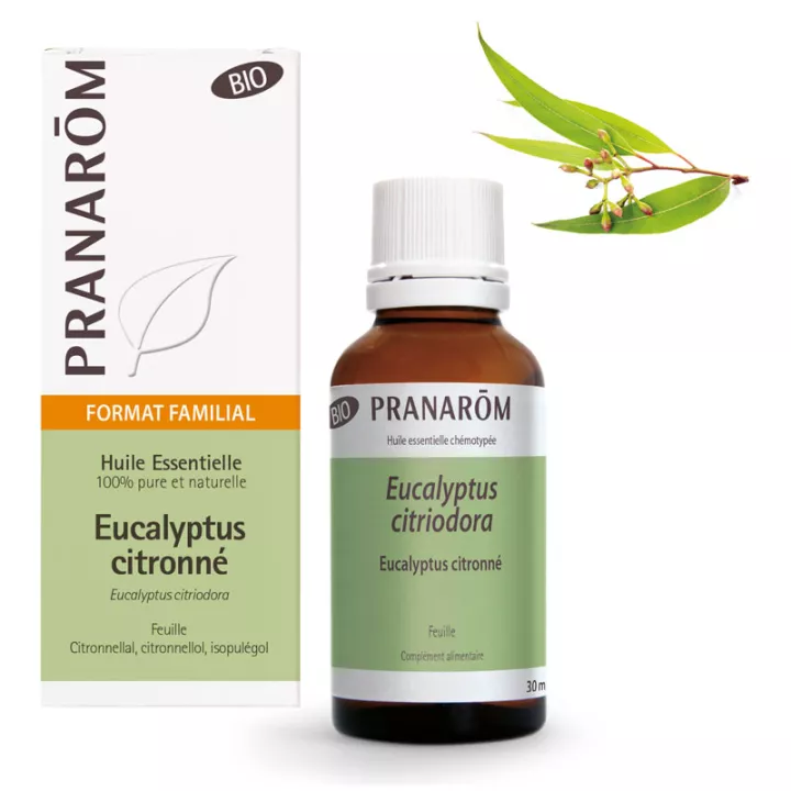 Huile essentielle BIO Eucalyptus citronné format familial PRANAROM 30ml prix réduit