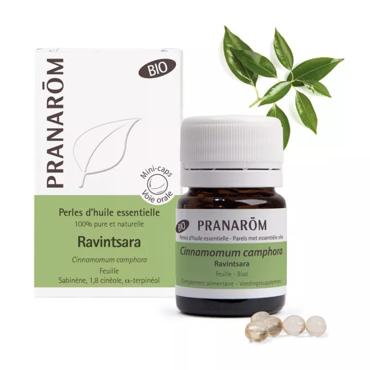 PRANAROM BIO Perle huile essentielle de Ravintsara B/60