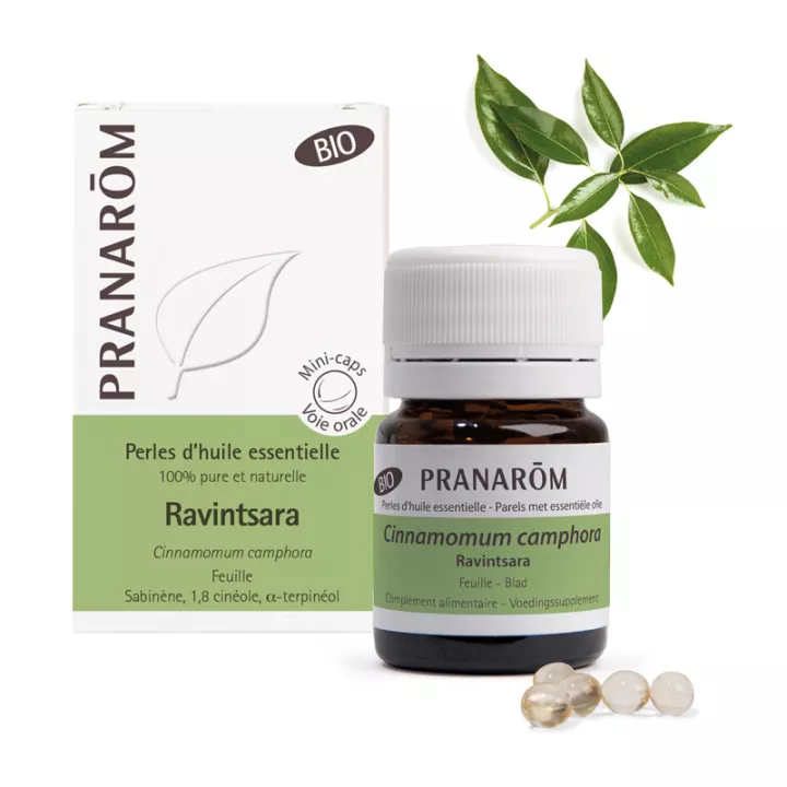 CINNAMOMUM CAMPHORA Sieb. essential oil Ravintsara