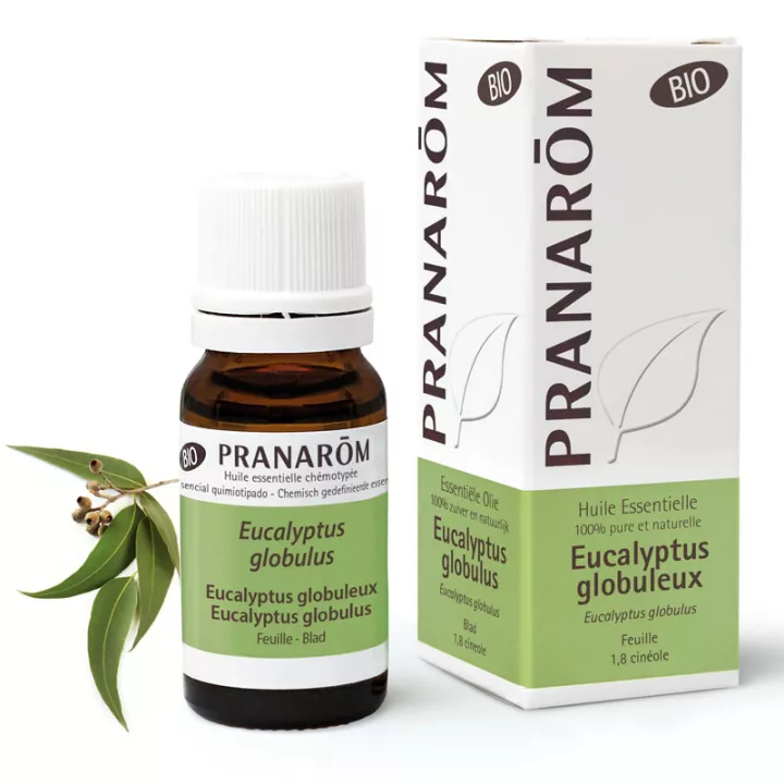 Orgánica esencial PRANAROM 10ml Eucalyptus globulus aceite