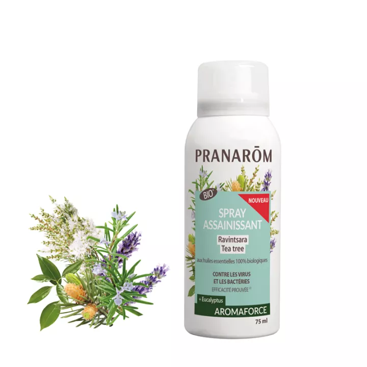 Aromaforce Ravitsara e spray higienizante orgânico de tea tree